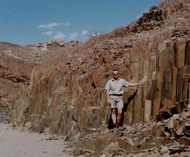 Organ Pipes