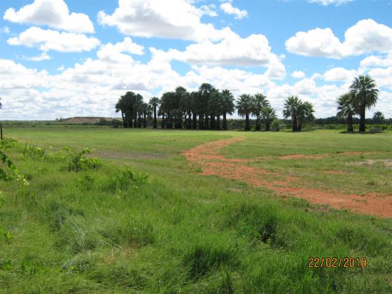 Anib Lodge: Kalahari Farmhouse camping