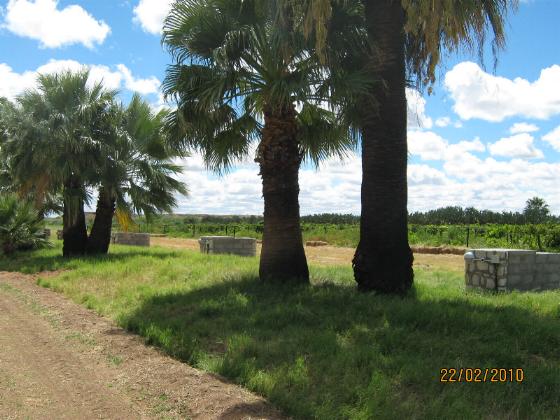 Anib Lodge: Kalahari Farmhouse camping