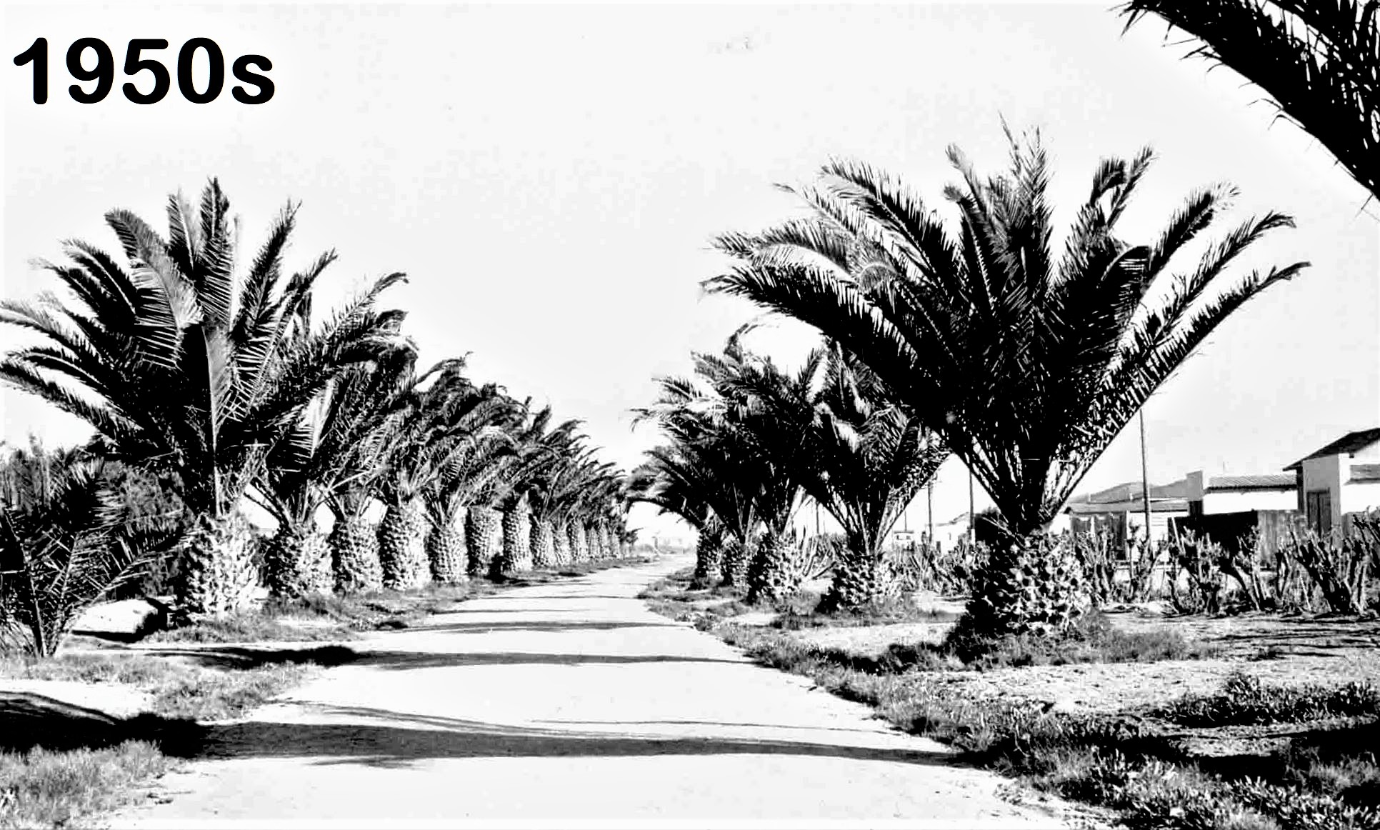 Arnold Schad Promenade, Swakopmund, Namibia