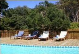 Badger's Lodge Knysna Western Cape South Africa pool