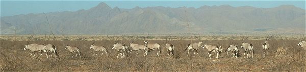 Barchan Dune Retreat Namibia