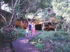 Buffalo Valley Bush Lodges Knysna, Western Cape, South Africa