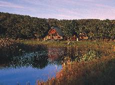 Buffalo Valley Bush Lodges Knysna, Western Cape, South Africa