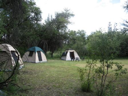 Bush Baby Lodge and Camping Grootfontein, Namibia