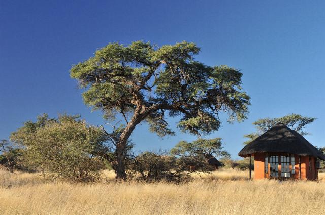 Camelthorn Lodge Namibia