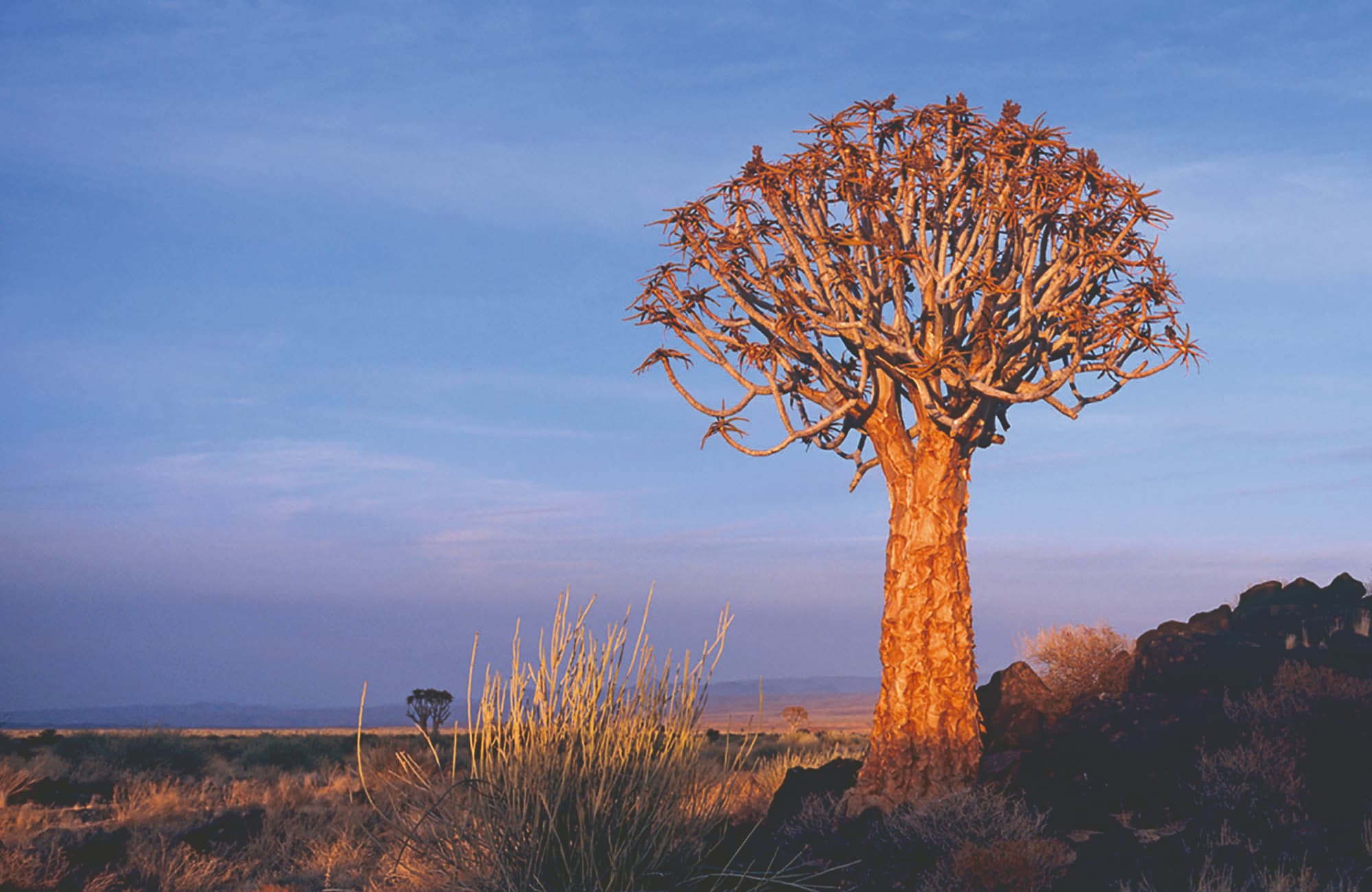 Canyon Road House Camp, Fish River Canyon, Namibia