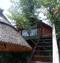 Chameleon Backpackers Lodge Namibia