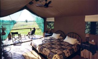 Chitabe Camp Ngamiland, Botswana
