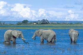 Chobe Savanna Lodge Namibia