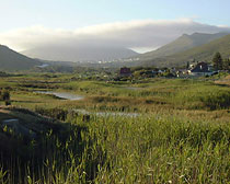 Clovelly Lodge Cape Town, Western Cape, South Africa