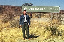 Dinosaur footprints Namibia