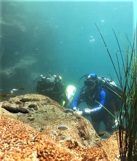 Diving in Namibia, Guinas Lake, southern Africa