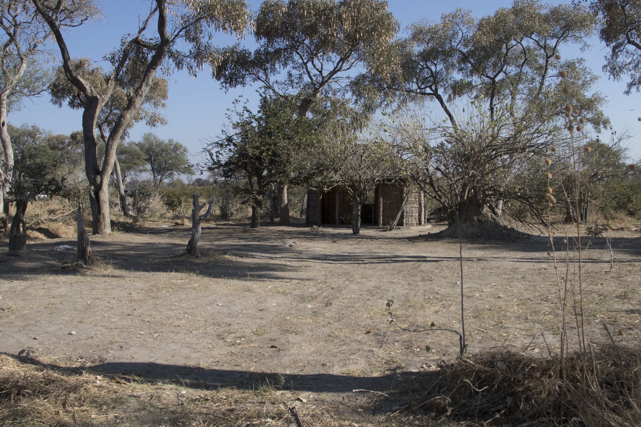 Dizhana Camp, Moremi Game Reserve, Botswana