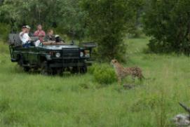 Djuma Game Reserve South Africa