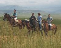 Drakensville Berg Resort, Drakenberg, South Africa