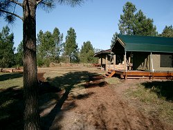 Homtini Guest Farm Knysna, Western Cape, South Africa