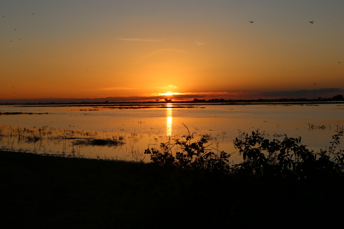 Ihaha Camp, Chobe, Botswana