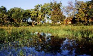 Jao Camp Wilderness Safaris Botswana