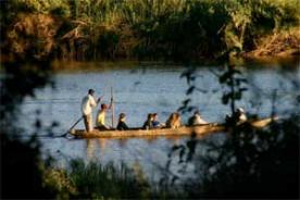 Jungle Junction Livingstone, Southern Province, Zambia