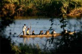 Jungle Junction Livingstone, Southern Province, Zambia