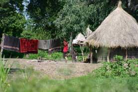 Jungle Junction Livingstone, Southern Province, Zambia