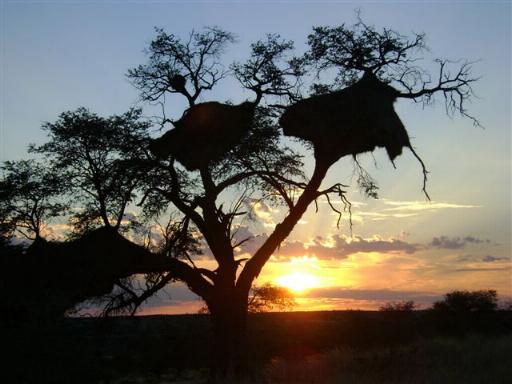 Kalahari Farmstall Mata Mata, Namibia