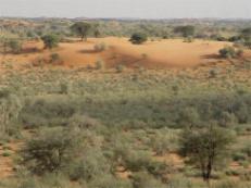 Kalahari Game Lodge Namibia, dunes