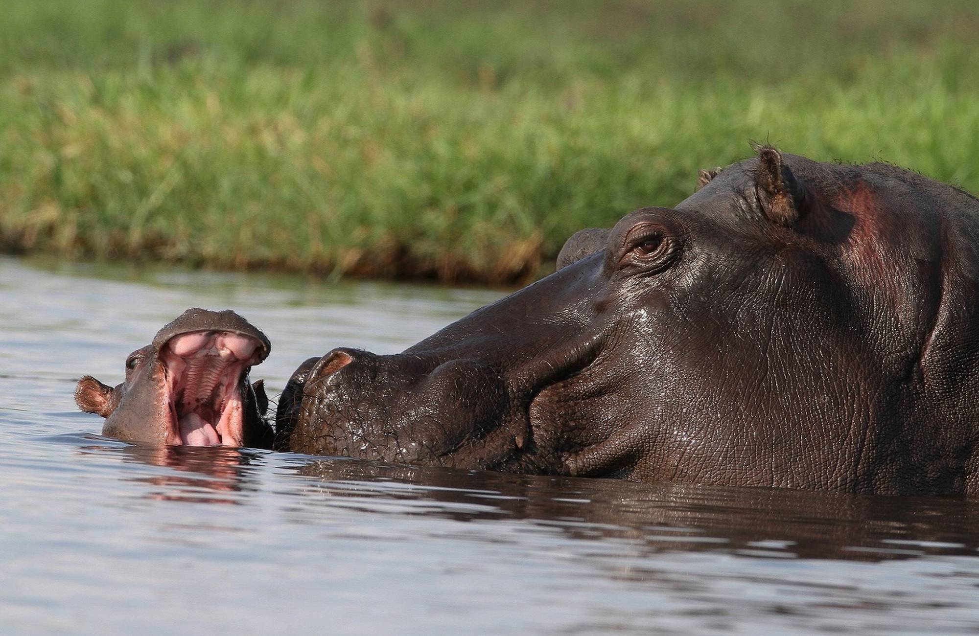 Kalizo Lodge, Katima Mulilo, Caprivi, Namibia