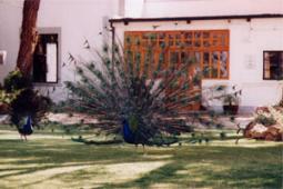 Kamab Guest Farm Namibia