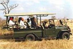 Khama Rhino Sanctuary Serowe, Central region, Botswana