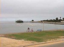 Kleines Nest Walvis Bay, Namibia