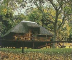 Kubu Lodge Kasane, Chobe, Botswana