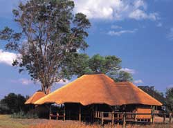 Lebala Camp, Ngamiland, Botswana