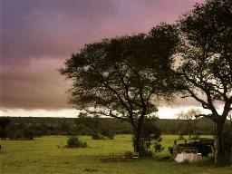 Londolozi Reserve, South Africa