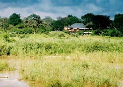 MalaMala Game Reserve Sable Camp, Mpumalanga, South Africa