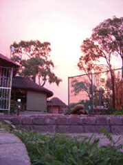 Marina's Camp Maun, Ngamiland, Botswana