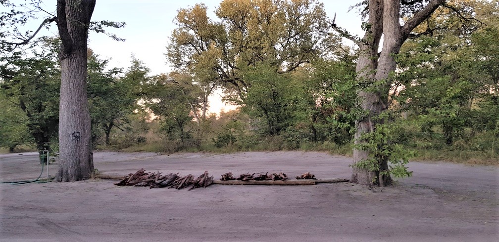 Mbudi Camp, Moremi Game Reserve, Botswana