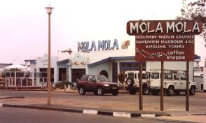 Mola-Mola's office Walvis Bay, Namibia