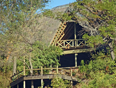 Muchenje Safari Lodge, Chobe, Botswana