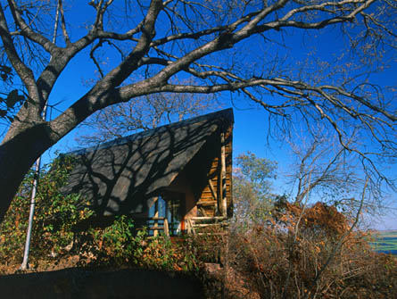 Muchenje Safari Lodge, Chobe, Botswana