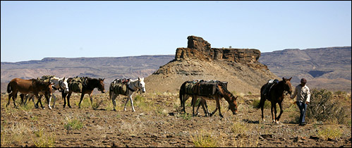 Mule Trails Namibia