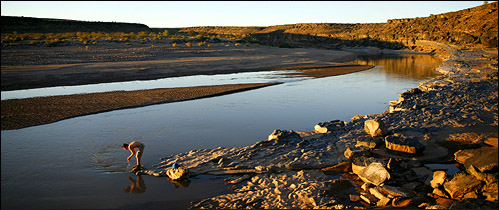 Mule Trails Namibia