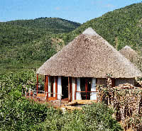 Nguni Safari Lodge, South Africa