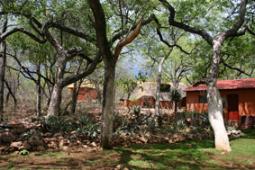 Ohange Lodge Otavi, Namibia