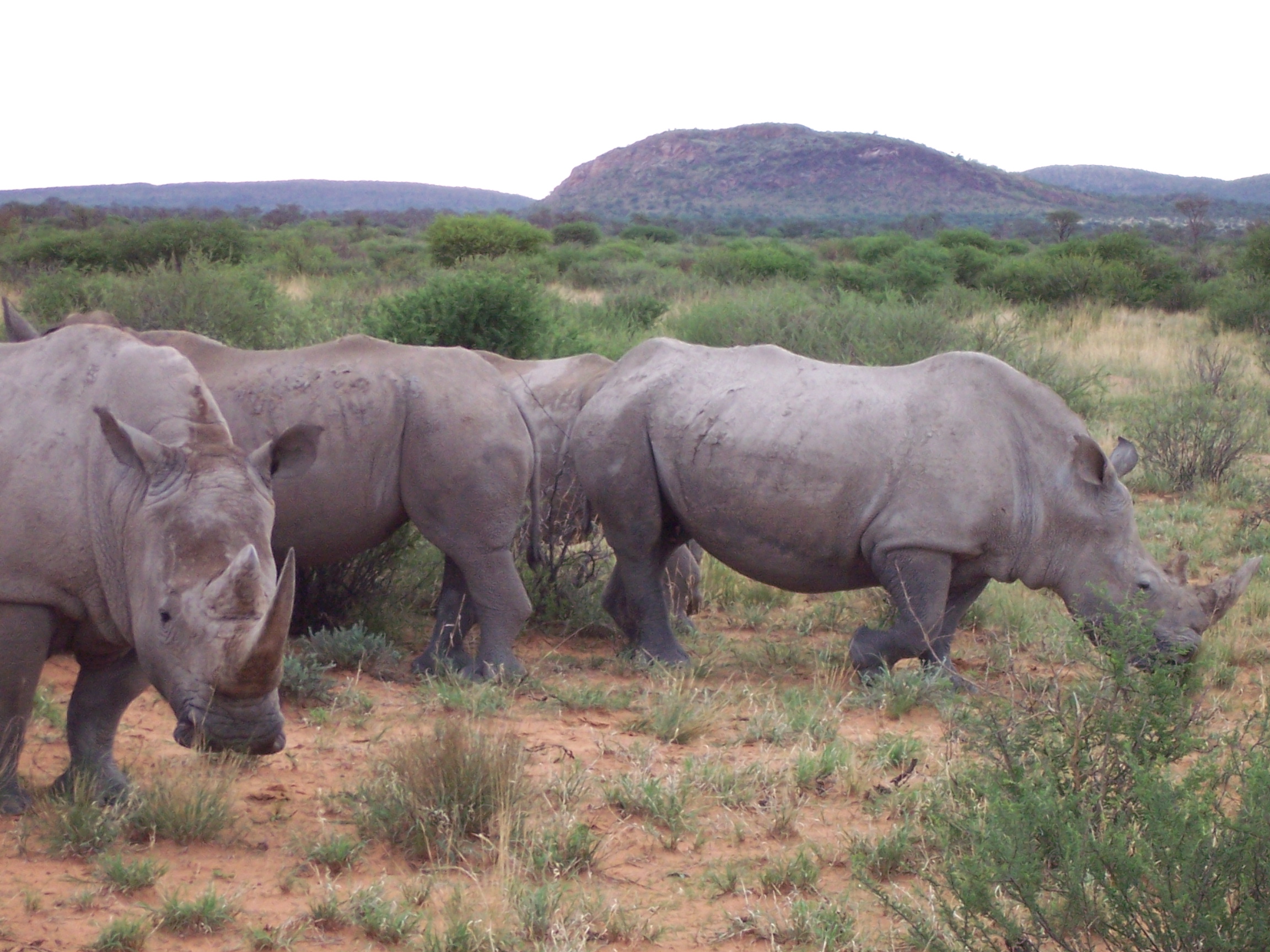 Okambara Game and Elephant Lodge, Namibia