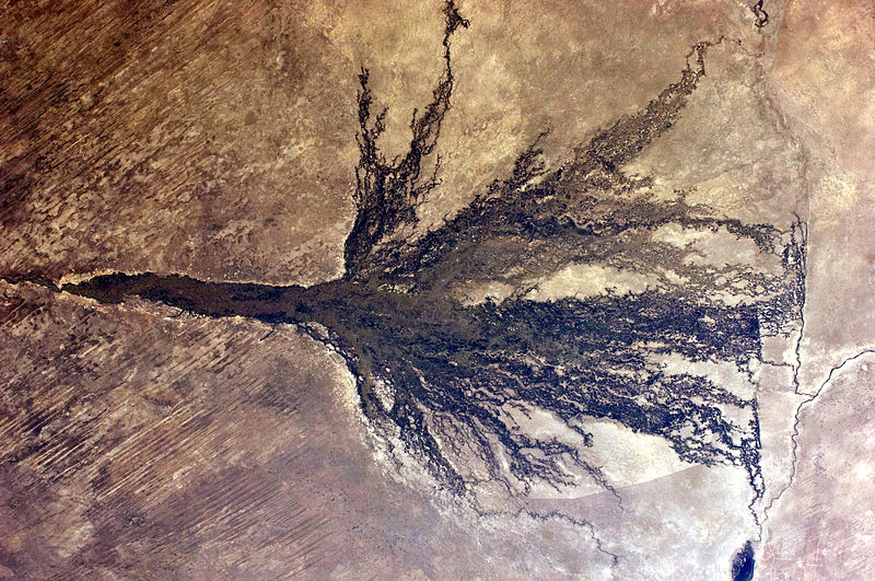 Okavango Delta: astronaut photograph