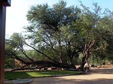 Omaruru Kleines Nest Namibia