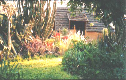 Ondombo B&B Kalkfeld, Namibia