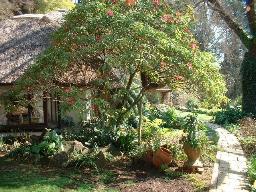 Pleasant Places Country Guest House Lidgetton, Kwa-Zulu Natal, South Africa